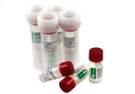 Cepa Liofilizada Haemophilus Influenzae -  ATCC 10211 - 1 Ml
